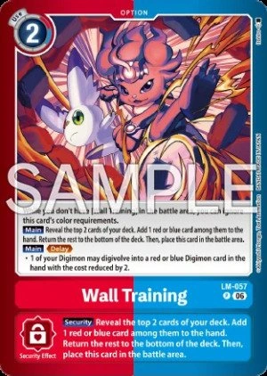 Wall Training